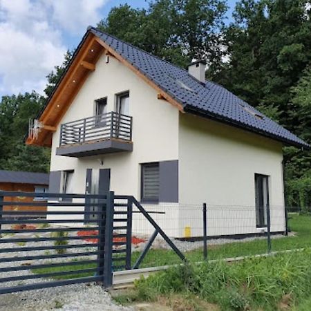 Leniowka Apartment Ponikiew  Bagian luar foto
