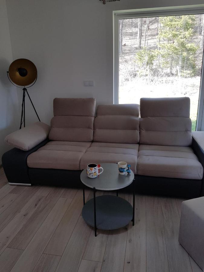 Leniowka Apartment Ponikiew  Bagian luar foto